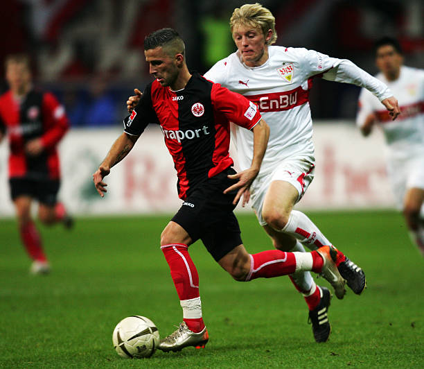 天津男排的 天津男排的